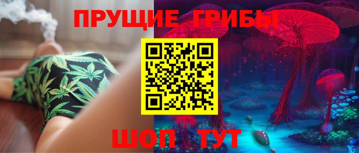 Галлюциногенные грибы Psilocybe  Вход с VPN  Канаш 