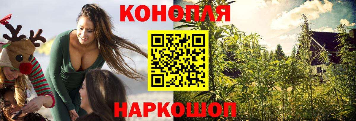 Шишки марихуана гибрид  МАРИХУАНА сатива  Конопля планчик  Вход с VPN  Канаш  Конопля марихуана 